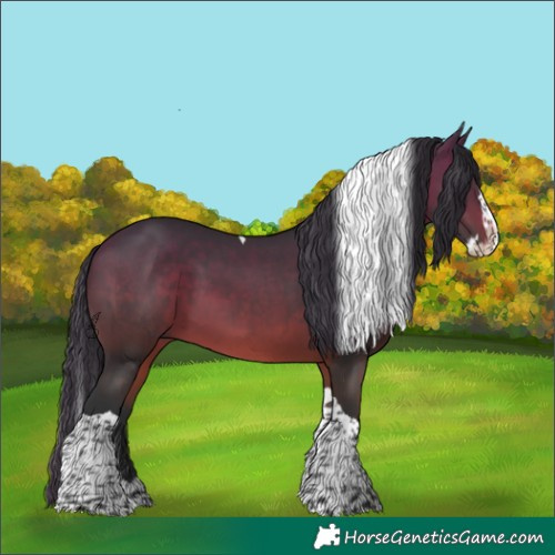 Horse Color:Brown Splash Tobiano 