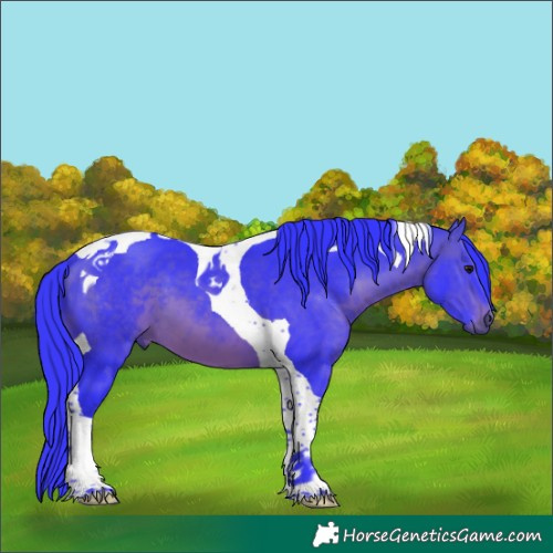 Horse Color:Watercolor Brown Tobiano 