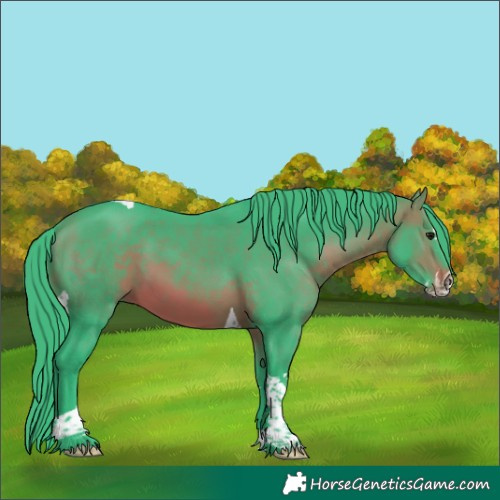 Horse Color:Watercolor Brown Splash Tobiano 