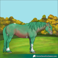 Horse Color:Watercolor Brown Splash Tobiano