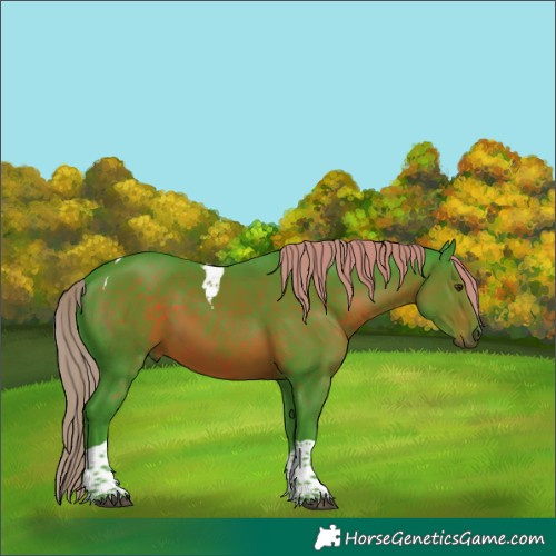 Horse Color:Watercolor Liver Chestnut Tobiano 