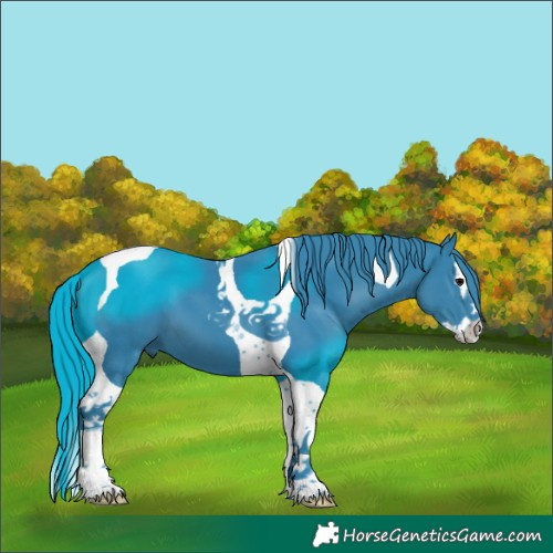 Horse Color:Watercolor Black Splash Tobiano 
