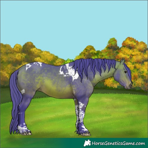 Horse Color:Watercolor Bay Tobiano 