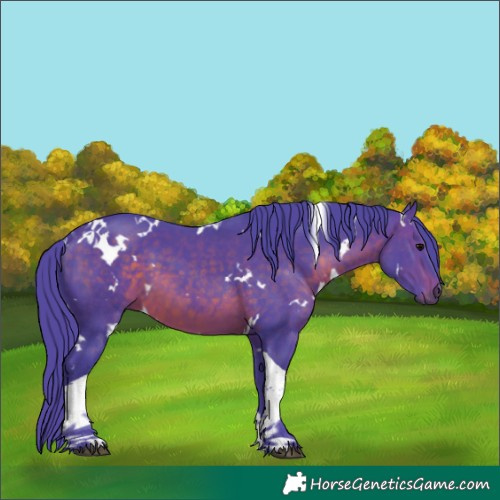 Horse Color:Watercolor White Spotted Brown Tobiano 