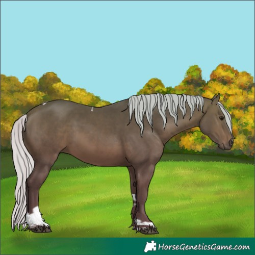 Horse Color:Silver Bay Tobiano 