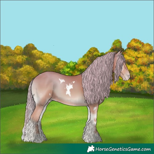 Horse Color:White Spotted Gold Champagne Onyx 