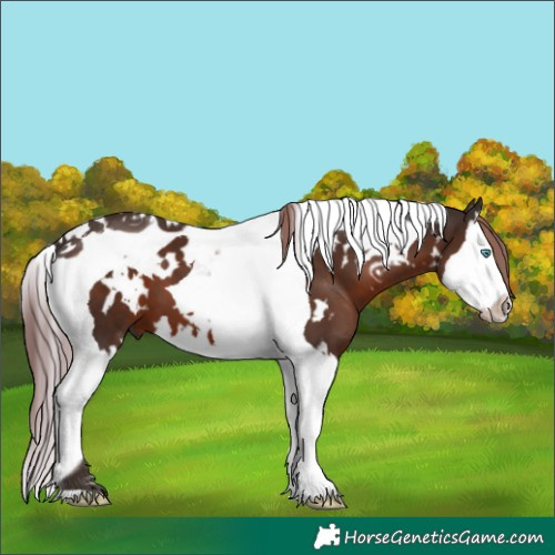 Horse Color:White Spotted Liver Chestnut Splash Tobiano 