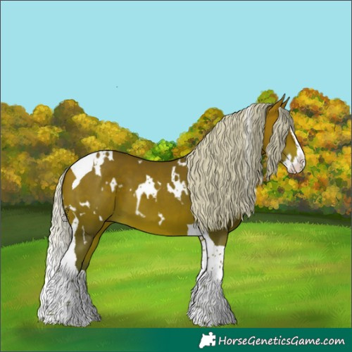 Horse Color:White Spotted Silver Bay Splash Tobiano 