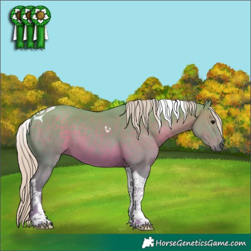 Horse Color:Watercolor Silver Black Tobiano