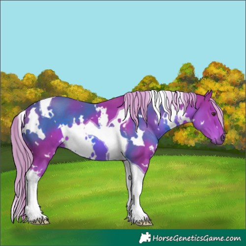 Horse Color:Watercolor White Spotted Chestnut Tobiano 