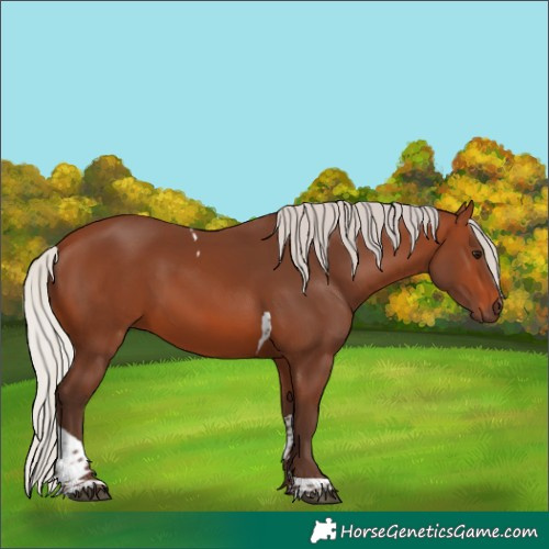 Horse Color:Silver Brown Tobiano 