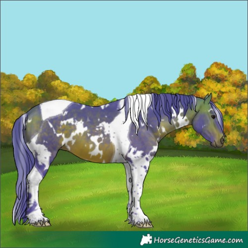Horse Color:Watercolor White Spotted Bay Tobiano 