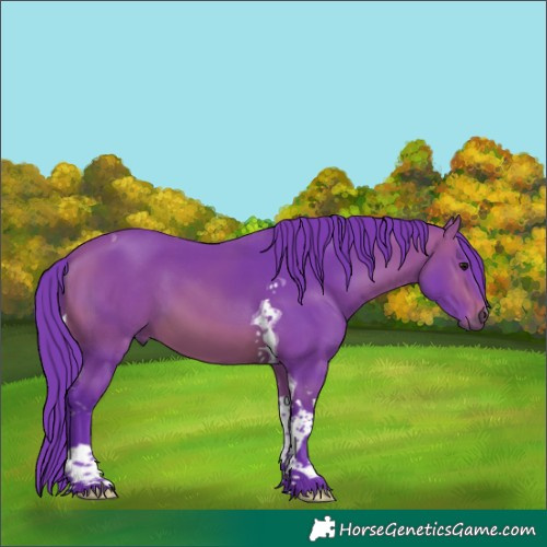 Horse Color:Watercolor Bay Tobiano 