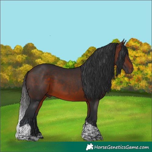 Horse Color:Bay Tobiano 