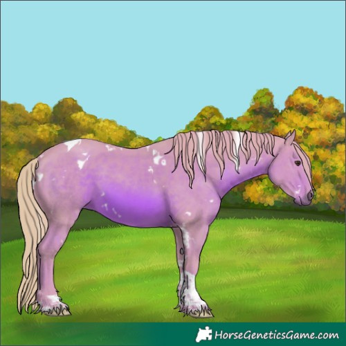 Horse Color:Watercolor White Spotted Chestnut Tobiano