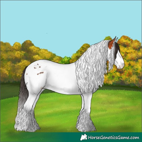 Horse Color:White Spotted Bay Splash Tobiano 
