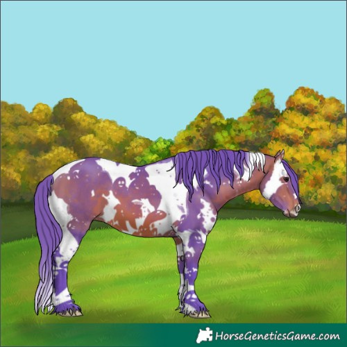 Horse Color:Watercolor White Spotted Bay Splash Tobiano 