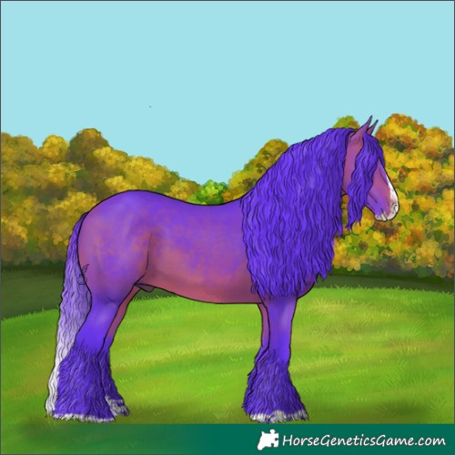 Horse Color:Watercolor Bay Splash