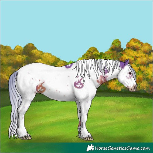 Horse Color:Watercolor White Spotted Liver Chestnut Splash Tobiano Frame 