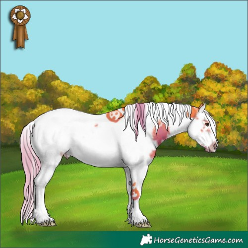 Horse Color:Watercolor White Spotted Liver Chestnut Splash Tobiano Frame 