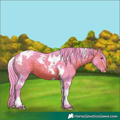Horse Color:Watercolor Brown Tobiano Blanket 
