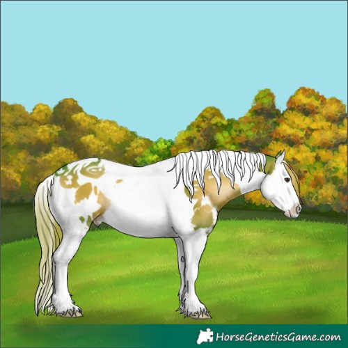 Horse Color:Watercolor White Spotted Liver Red Onyx Splash Tobiano 