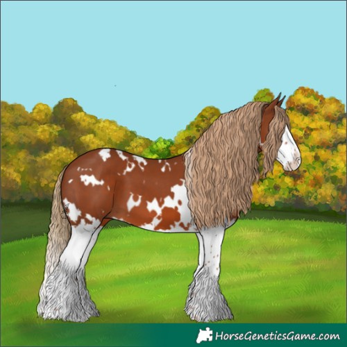 Horse Color:White Spotted Chestnut Splash