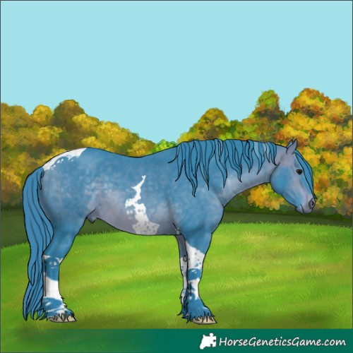 Horse Color:Watercolor Bay Tobiano 
