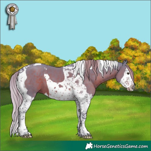 Horse Color:Watercolor Liver Chestnut Splash Tobiano 