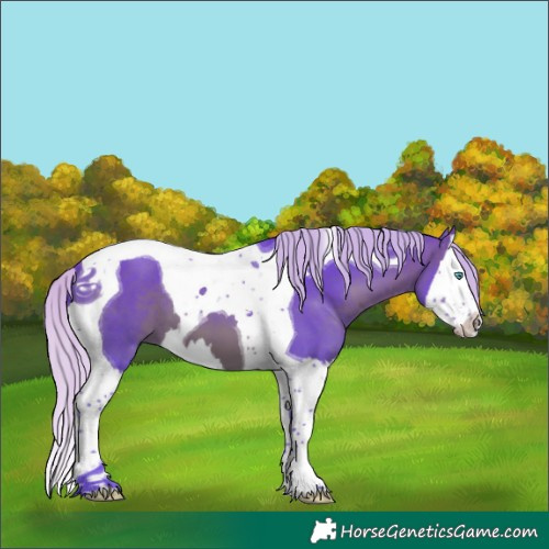 Horse Color:Watercolor Silver Brown Splash Tobiano 