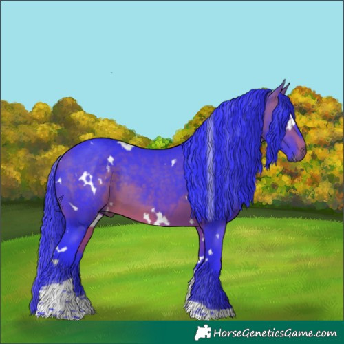 Horse Color:Watercolor White Spotted Bay Tobiano 