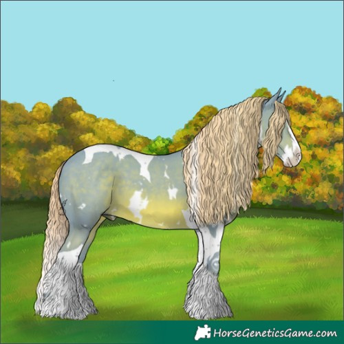 Horse Color:Watercolor White Spotted Chestnut Splash Tobiano 