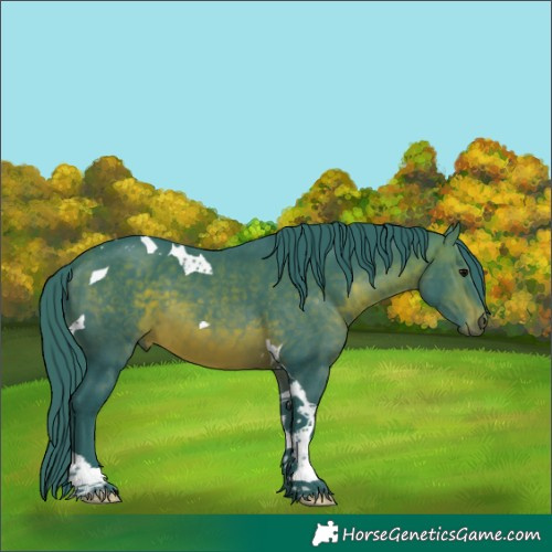 Horse Color:Watercolor Brown Tobiano