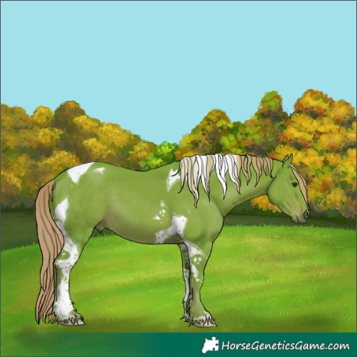 Horse Color:Watercolor Liver Chestnut Tobiano 