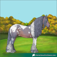 Horse Color:Watercolor White Spotted Brown Tobiano 
