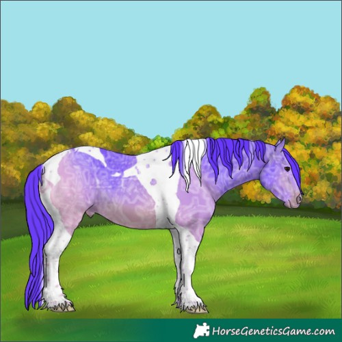 Horse Color:Watercolor Brown Ice Tobiano 