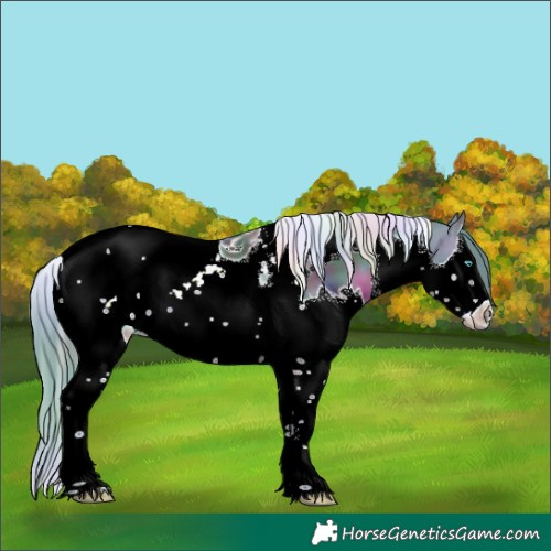 Horse Color:Nacre Watercolor Brown Splash Tobiano 