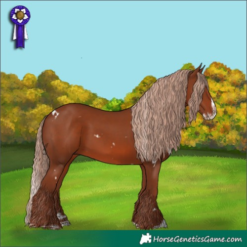 Horse Color:White Spotted Chestnut Splash 