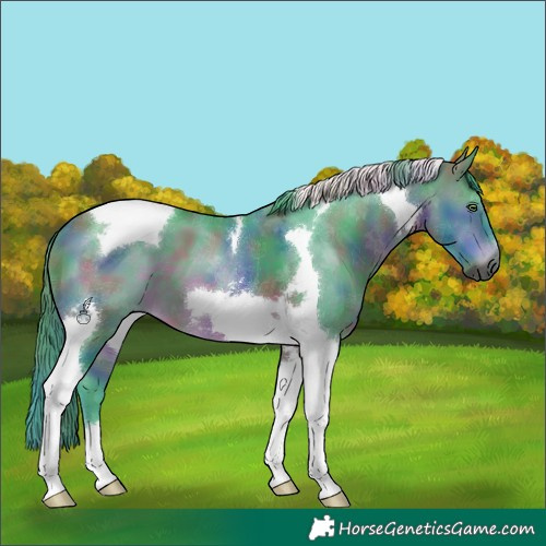 Horse Color:Gray Nacre Watercolor Bay Tobiano 
