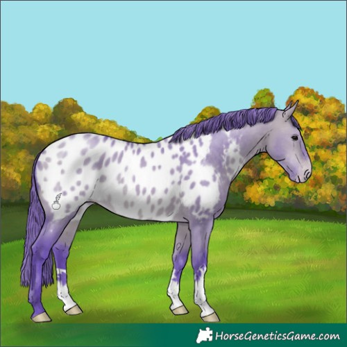 Horse Color:Watercolor Bay Dun Near Leopard 