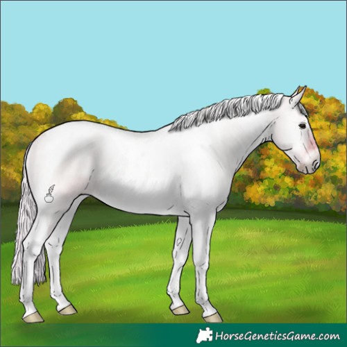 Horse Color:Watercolor Silver Bay Onyx Tobiano