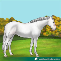 Horse Color:Watercolor Silver Bay Onyx Tobiano