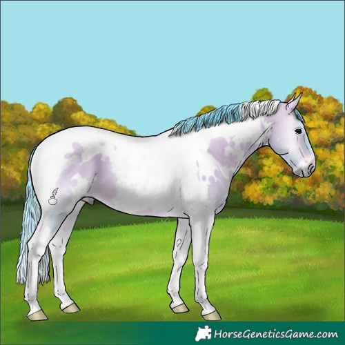 Horse Color:Watercolor White Spotted Bay Onyx Tobiano 
