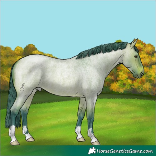 Horse Color:Watercolor Bay Roan Dun 