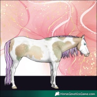 Horse Color:Painted Silver Buckskin Pearl Splash Tobiano 