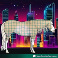 Horse Color:Plaid Silver Buckskin Dun Splash