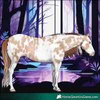 Horse Color:Brown Pearl Dun Splash Tobiano Near Leopard