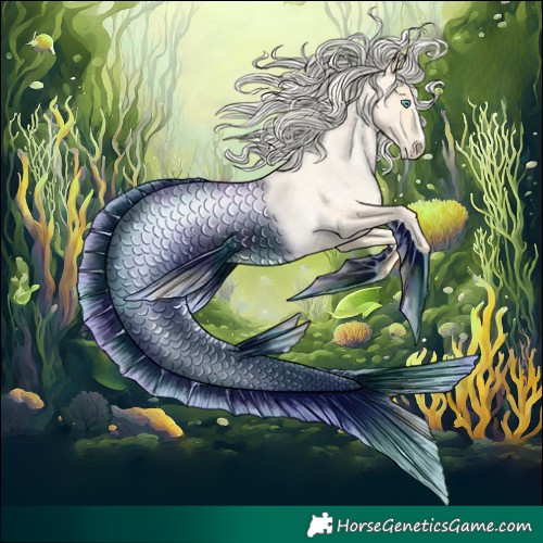 Horse Color:Palomino Roan Pearl  and Palomino Roan Pearl Appaloosa 