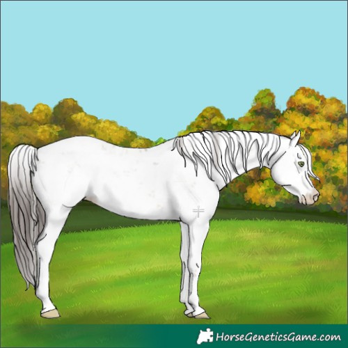Horse Color:Sable Champagne Dun Sabino 