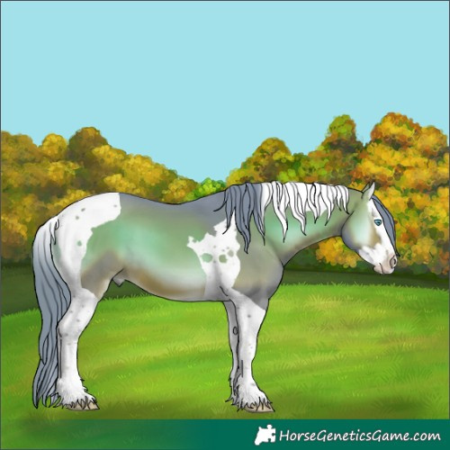 Horse Color:Watercolor Brown Onyx Splash Tobiano 